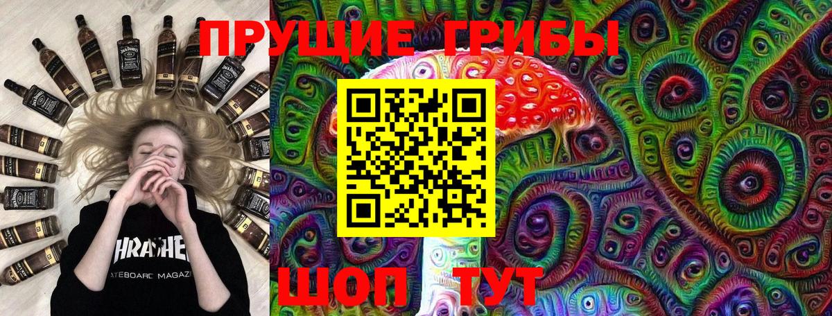 Пенза  купить закладку  Вход с VPN  Псилоцибиновые грибы Psilocybine cubensis 