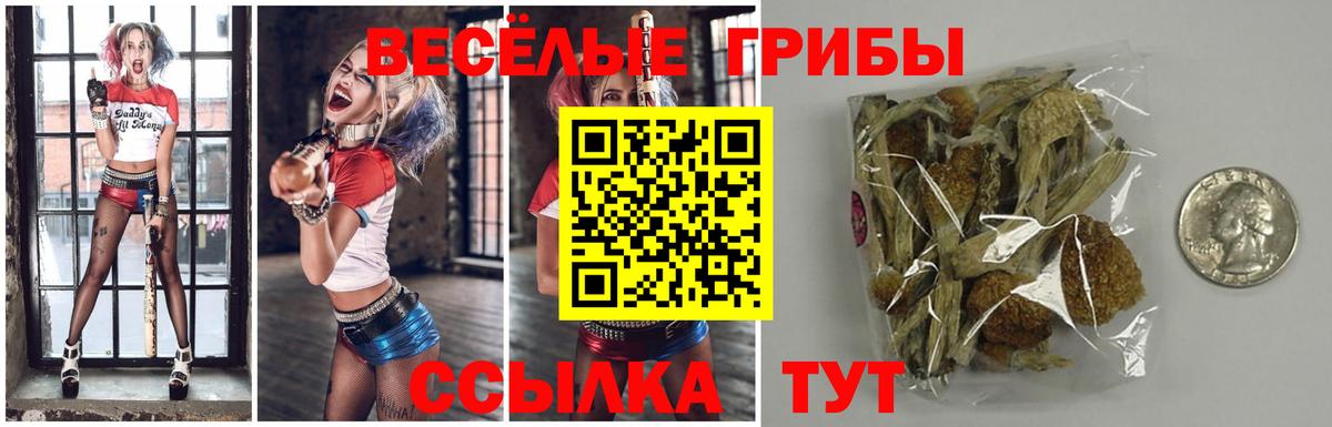 Галлюциногенные грибы Cubensis Пенза